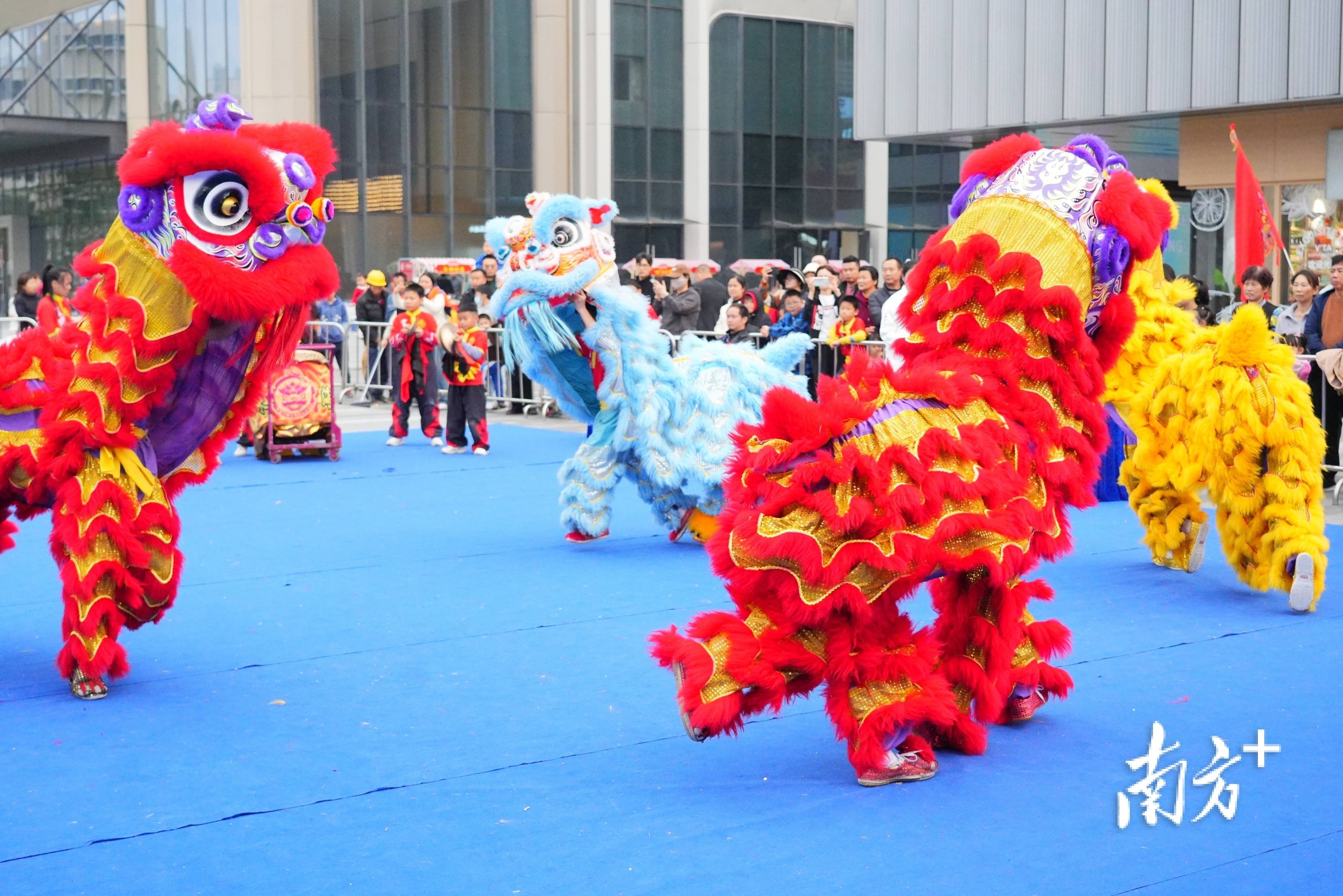 广东龙狮强势对阵山东,角逐火爆擂台 广东龙狮强势对阵山东,角逐火爆擂台