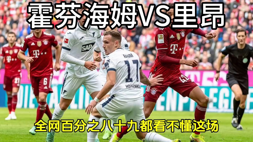 德甲新冠军诞生,霍芬海姆成冠军热门 德甲新冠军诞生,霍芬海姆成冠军热门