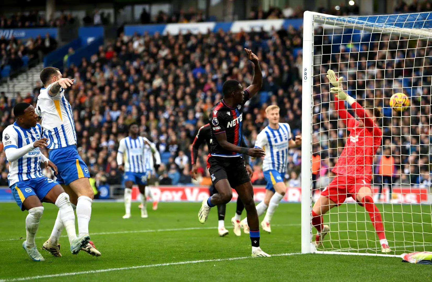 FB体育平台-诺里奇主场击溃布莱顿，重返胜利轨道