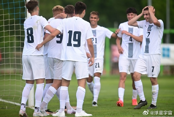 斯洛文尼亚0-1负于荷兰队 斯洛文尼亚0-1负于荷兰队